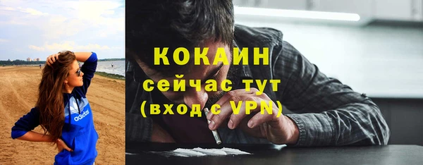 молекула духа Бронницы