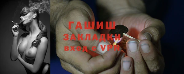 мдпв Богородицк