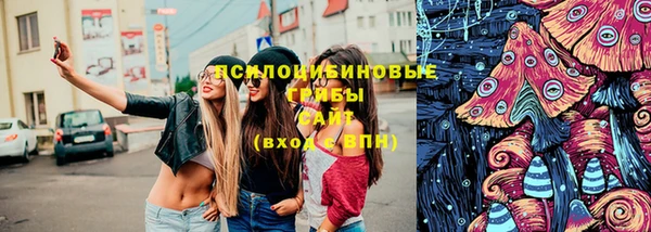 молекула духа Бронницы