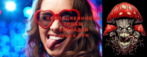молекула духа Бронницы