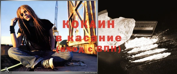 мдпв Богородицк