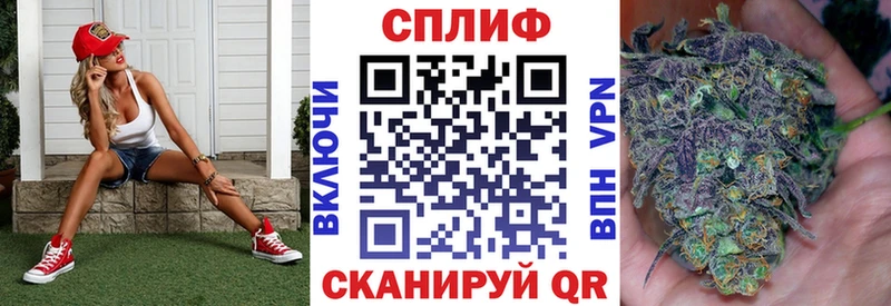 где найти наркотики  Могоча  Каннабис план 